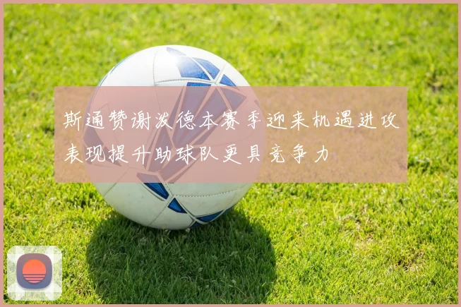 斯通赞谢泼德本赛季迎来机遇进攻表现提升助球队更具竞争力